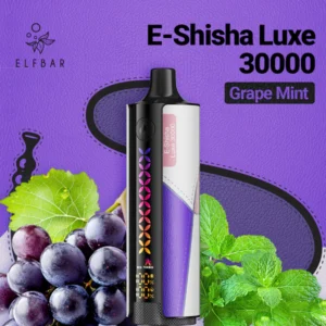 Elfbar E-Shisha Luxe 30000 bouffées Vape jetable – Image 5