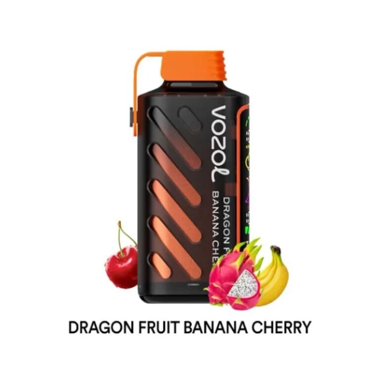 VOZOL Gear Power 20000