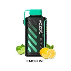 VOZOL Gear Power 20000