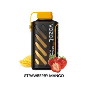 VOZOL Gear Power 20000