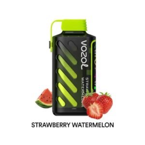 VOZOL Gear Power 20000