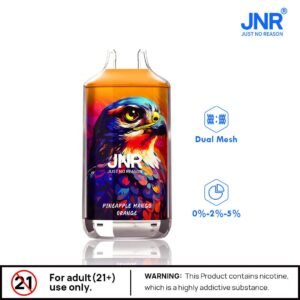 JNR Falcon 16000 Bouffées Vape – Image 2